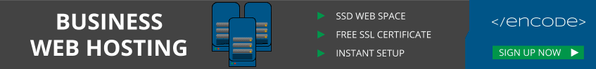 Web Hosting Banner